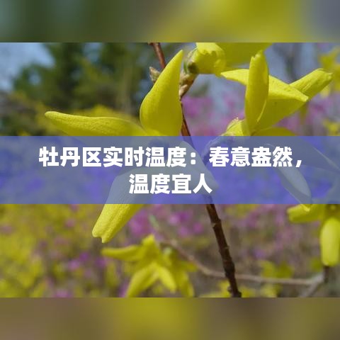 在线留言 第264页