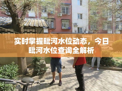 在线留言 第251页