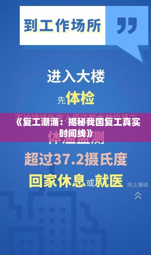 公司动态 第241页