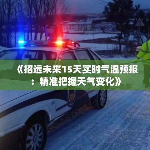 行将就木 第3页