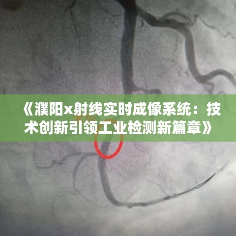 甄繁就简 第3页