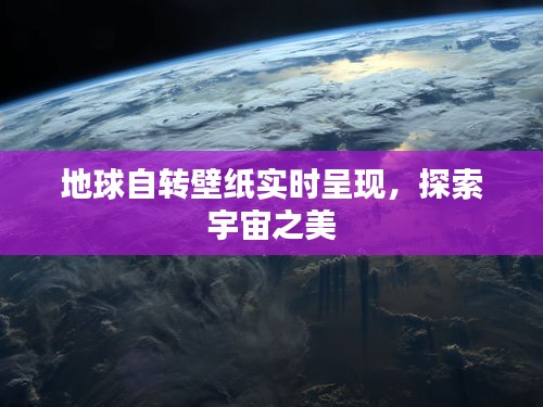 各就各位 第3页