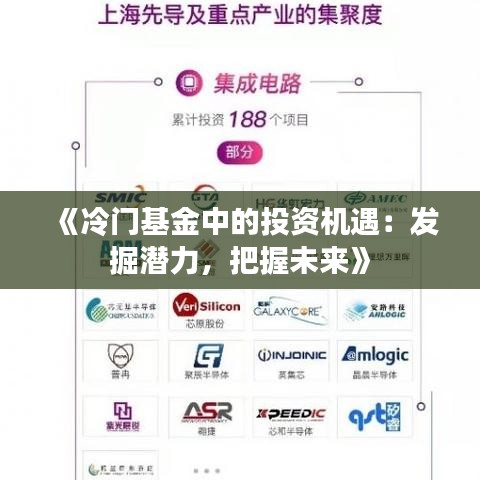 《冷门基金中的投资机遇：发掘潜力，把握未来》