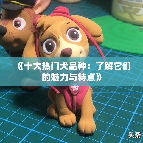 母凭子贵