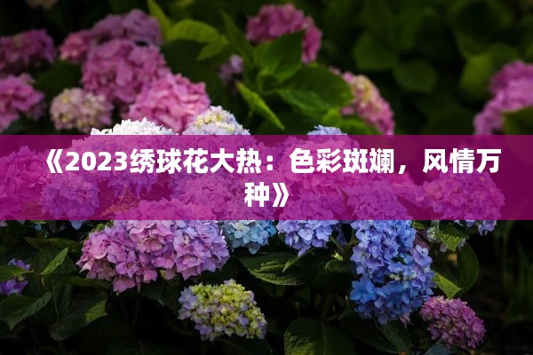 《2023绣球花大热：色彩斑斓，风情万种》