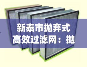 新泰市抛弃式高效过滤网：抛弃式高效过滤器 