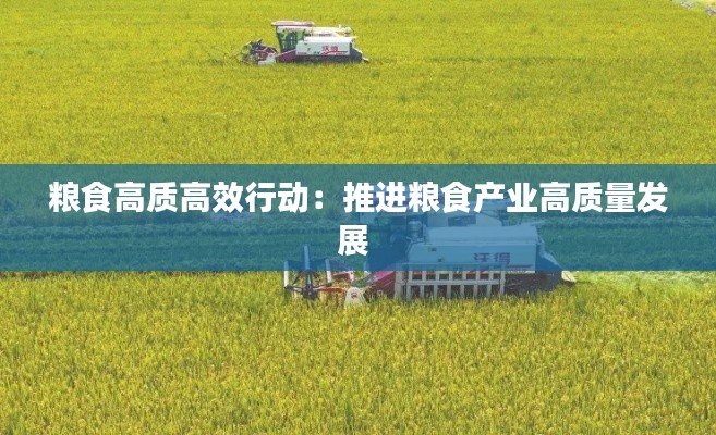 2025年1月10日 第12页