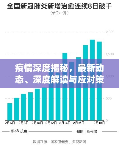 疫情深度揭秘，最新动态、深度解读与应对策略