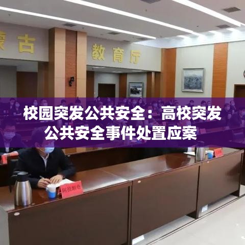 校园突发公共安全：高校突发公共安全事件处置应案 