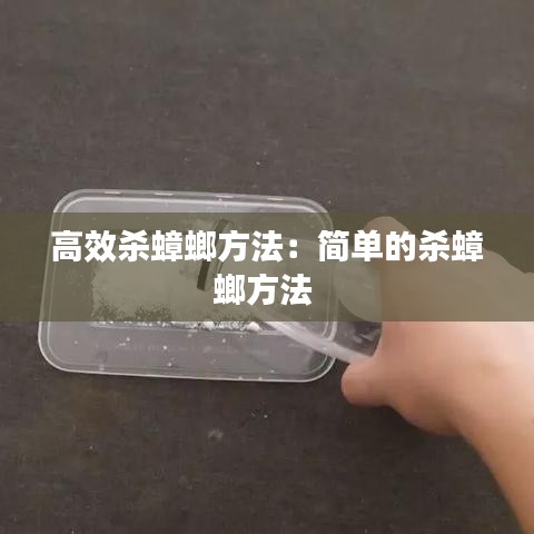 2025年1月14日 第4页