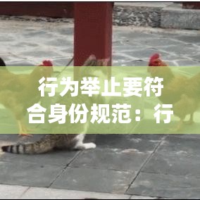为民请命 第2页