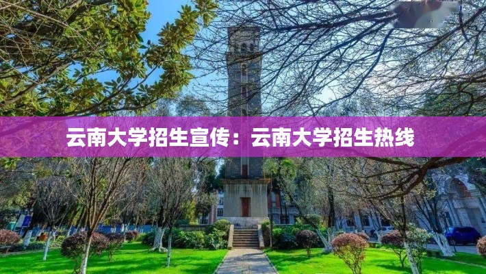 草草收兵 第2页