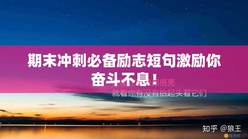 2025年1月 第313页