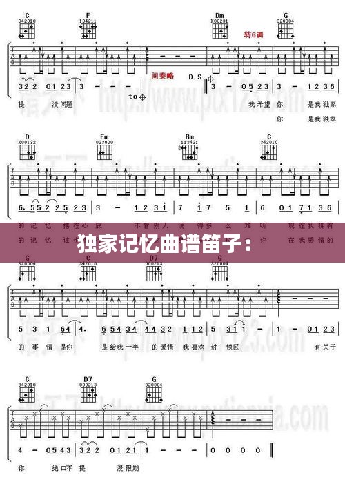 独家记忆曲谱笛子： 