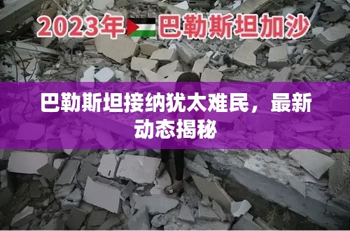 2025年1月20日 第15页