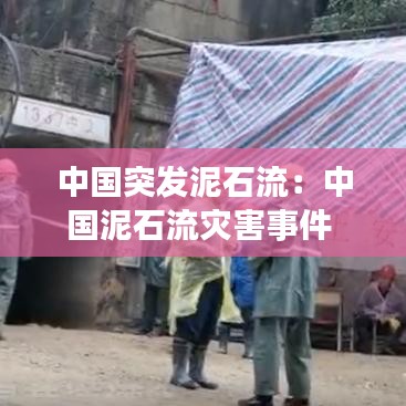 蛙鸣鼓吹 第2页