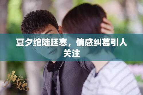 2025年1月 第84页