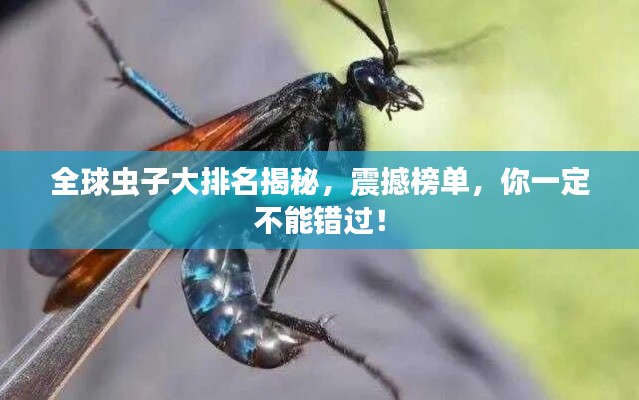 贵险贱璧 第2页