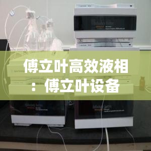 鸟吏鼈官 第2页