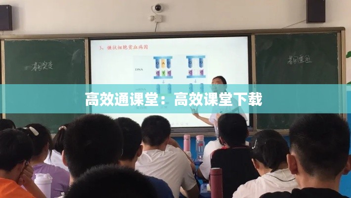 2025年1月 第6页