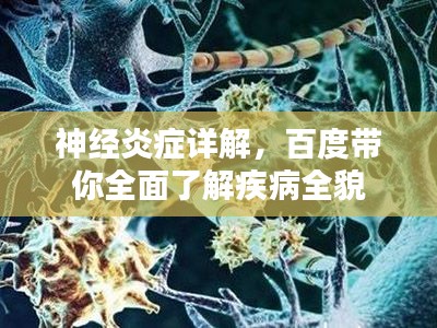 2025年1月 第3页