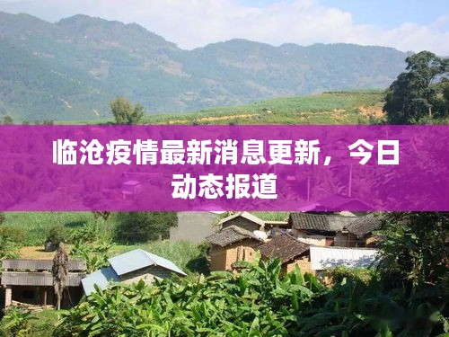 临沧疫情最新消息更新，今日动态报道