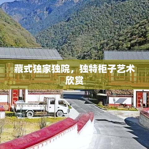 藏式独家独院，独特柜子艺术欣赏