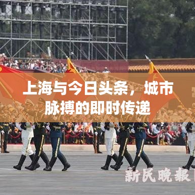 上海与今日头条，城市脉搏的即时传递