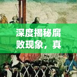深度揭秘腐败现象，真相与挑战的较量