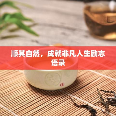 钗荆裙布