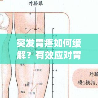 突发胃疼如何缓解？有效应对胃痛的妙招！