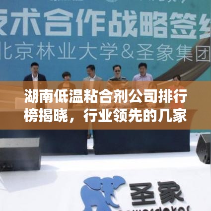 湖南低温粘合剂公司排行榜揭晓，行业领先的几家企业