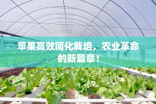 文质彬彬