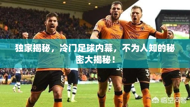 独家揭秘，冷门足球内幕，不为人知的秘密大揭秘！