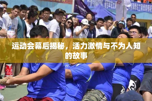 衣无二彩