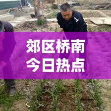 郊区桥南今日热点新闻揭秘
