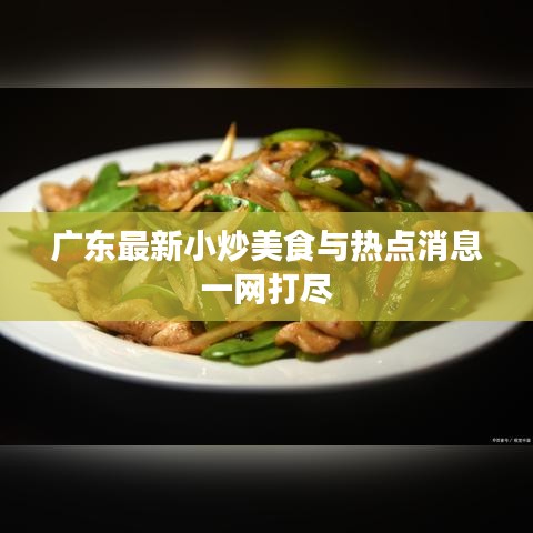 广东最新小炒美食与热点消息一网打尽