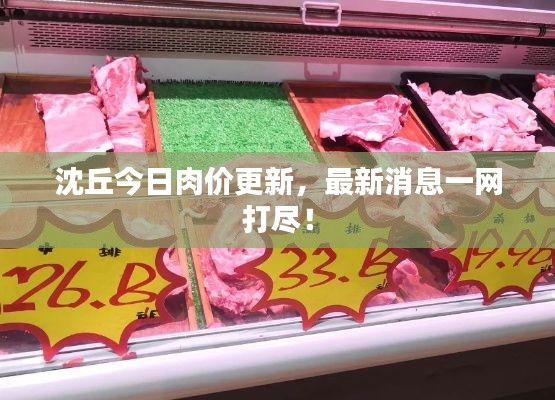 沈丘今日肉价更新，最新消息一网打尽！