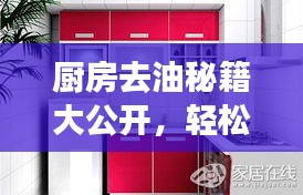 厨房去油秘籍大公开，轻松打造洁净环境，专业清洁技巧揭秘！