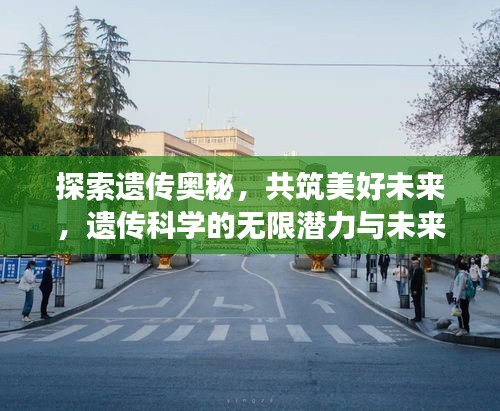 探索遗传奥秘，共筑美好未来，遗传科学的无限潜力与未来展望