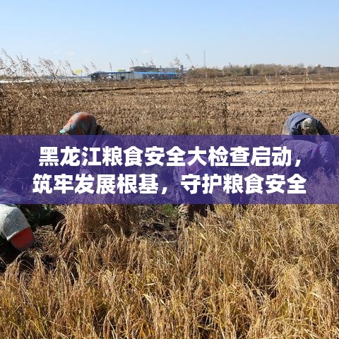 仙姿佚貌