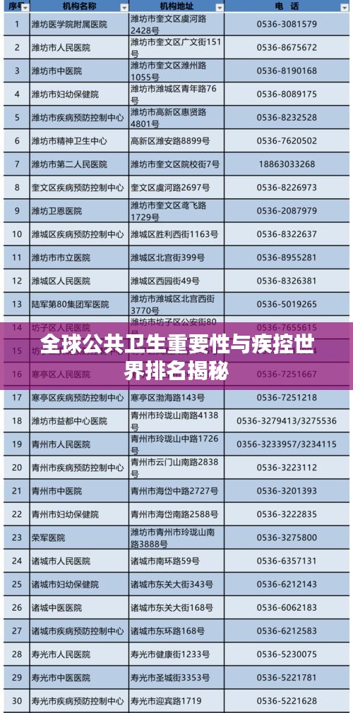 全球公共卫生重要性与疾控世界排名揭秘
