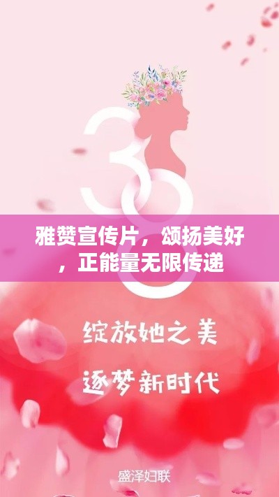 走马观花
