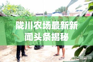 陇川农场最新新闻头条揭秘