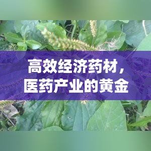 设身处地