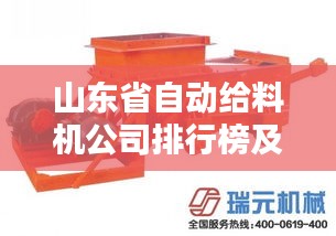 山东省自动给料机公司排行榜及行业影响力解析