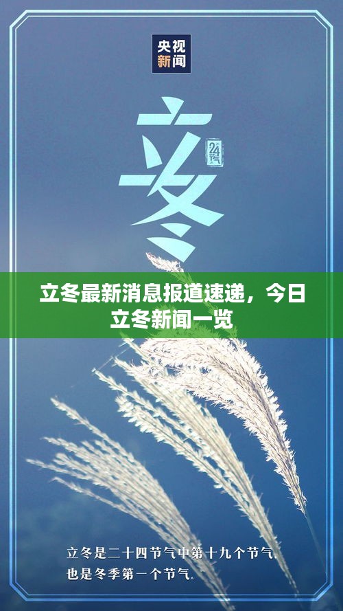 立冬最新消息报道速递，今日立冬新闻一览
