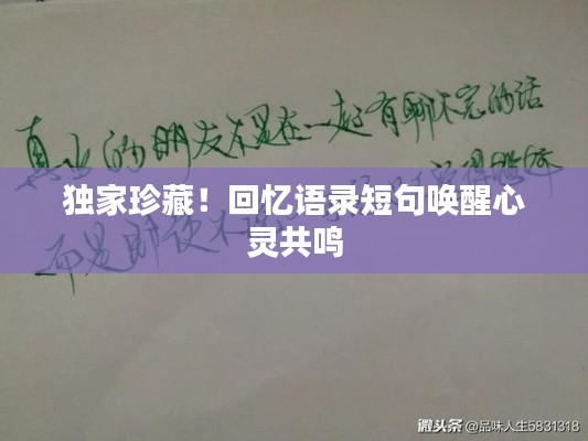 开张圣听