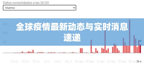 笨鸟先飞