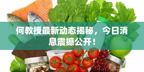 何教授最新动态揭秘，今日消息震撼公开！